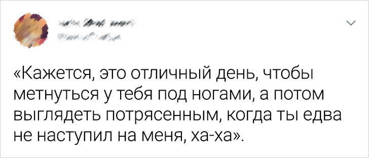 © JortsTheCat 