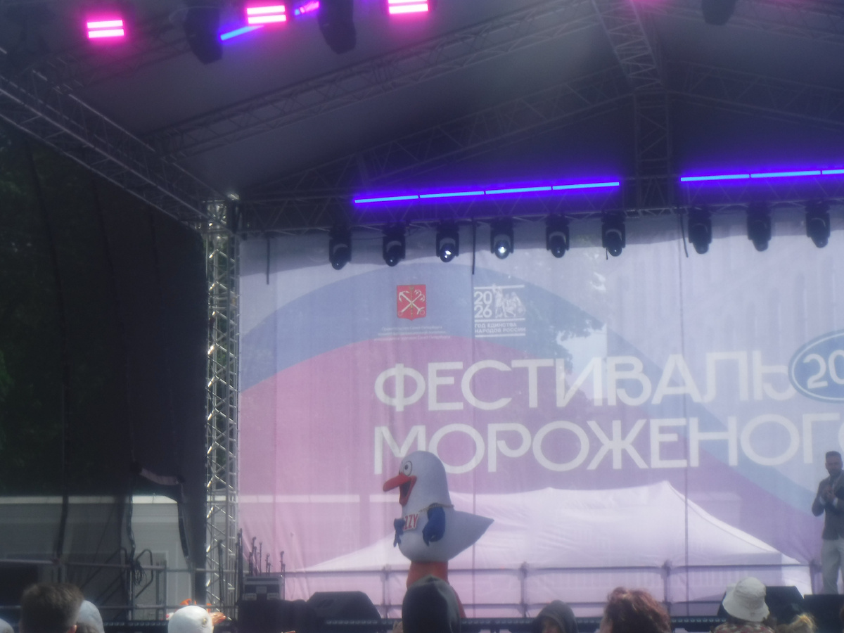 Концерт на фестивале 