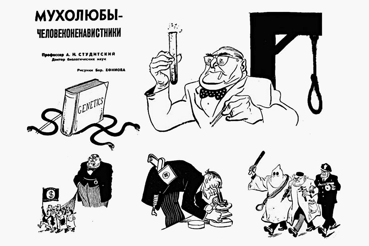 Рисунки Бор. Ефимова