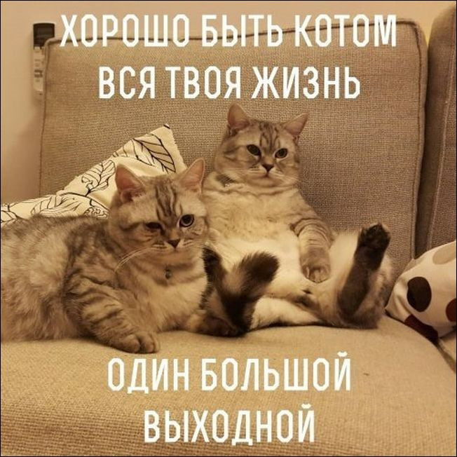 источник Яндекс-картинки