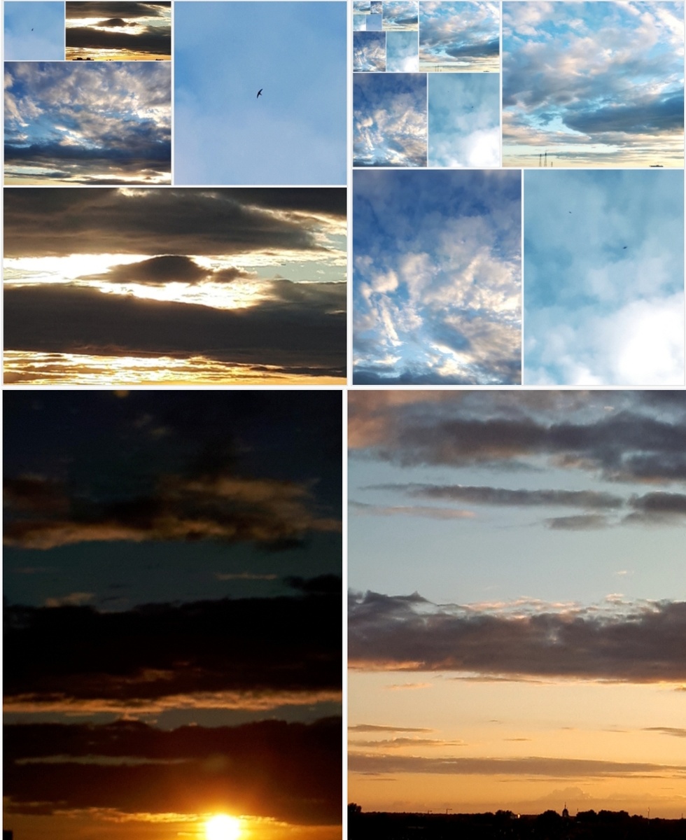 Фото автора 16.06.2026г.
