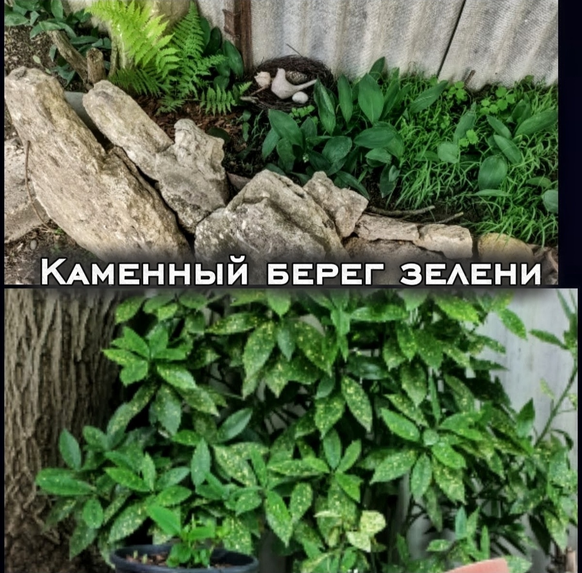 Скрин для статьи