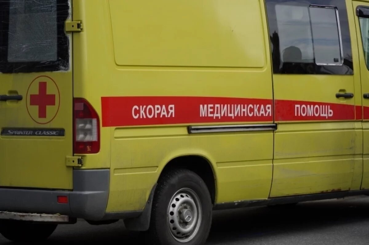    В посёлке Петрово под колёсами автомобиля погиб пешеход