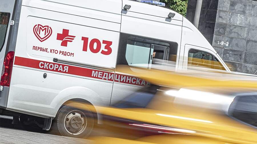    Фото: ИЗВЕСТИЯ/Константин Кокошкин