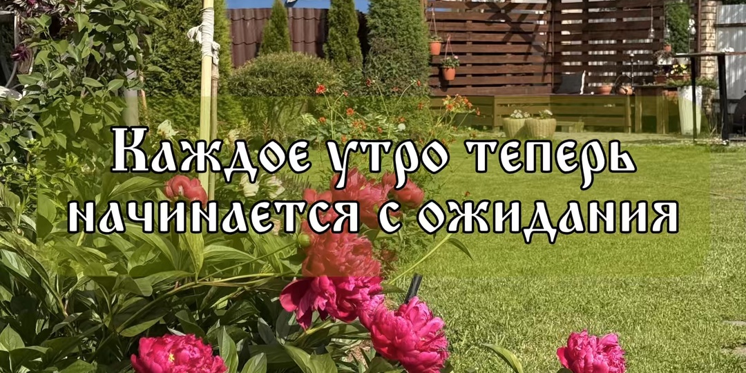 Как проходит наше лето: сад, дом и одно большое ожидание