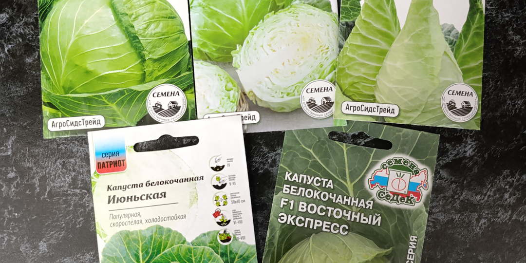 В июле сажать еще не поздно. Каждый год собираю по два урожая