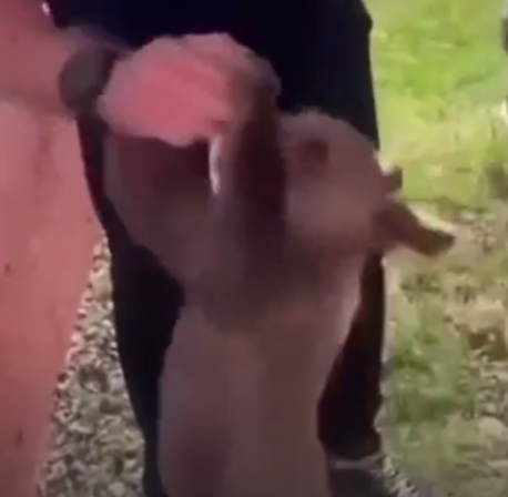    Кадр из видео