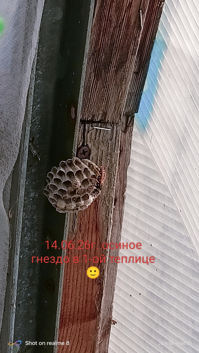 Фото моё 