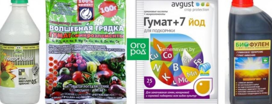 Разные гуматы. Фото из открытых источников