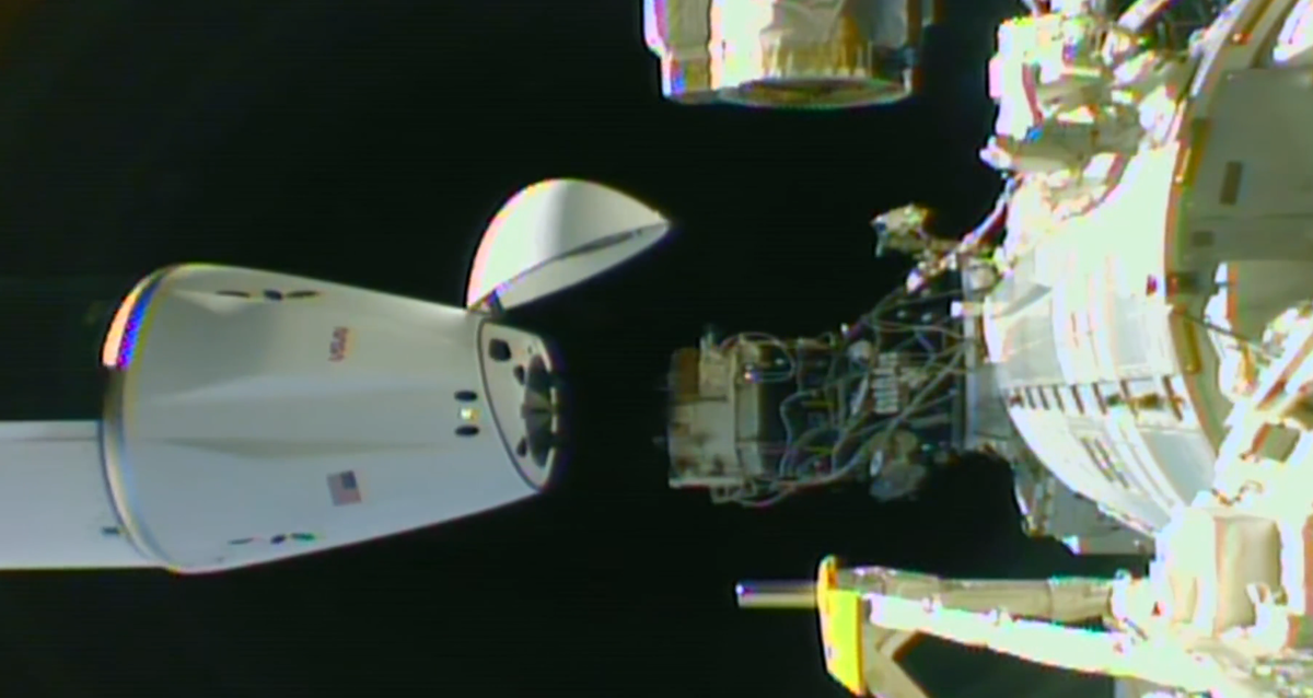 Кадр SpaceX/NASA  📷
