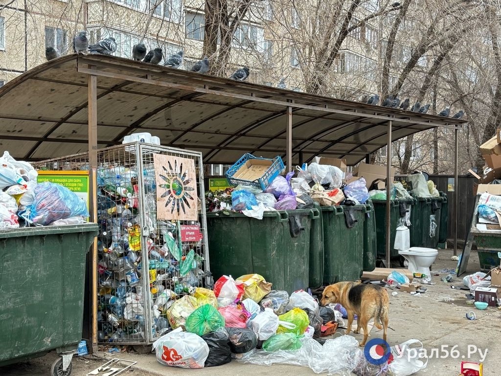    Некоторые строительные отходы в Оренбургской области все-таки можно выбрасывать на площадки ТКО. Что туда складывать запрещено?