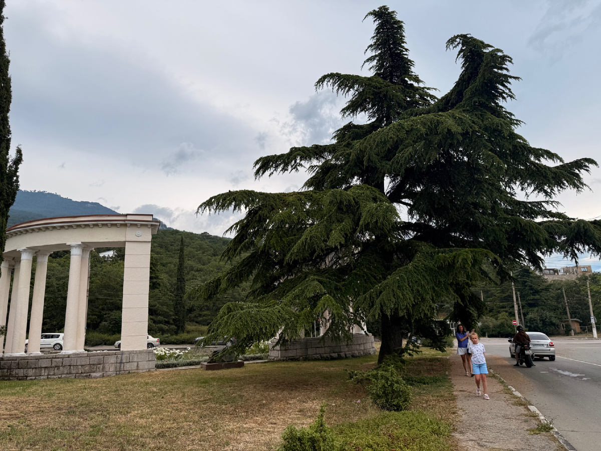 Арка на трассе у НБС