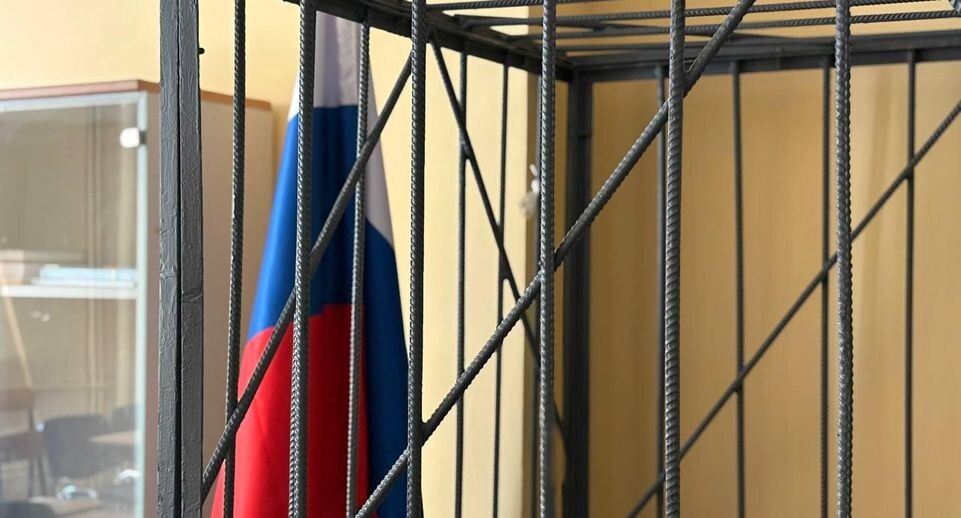    «Подмосковье сегодня»/Полина Крачун