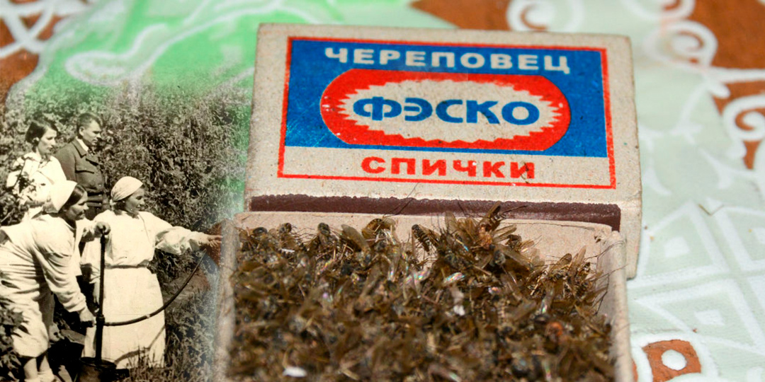 Зачем в аптеках СССР принимали комаров и только от килограмма. За 1000 рублей и "Волгу". Оказывается, была такая байка