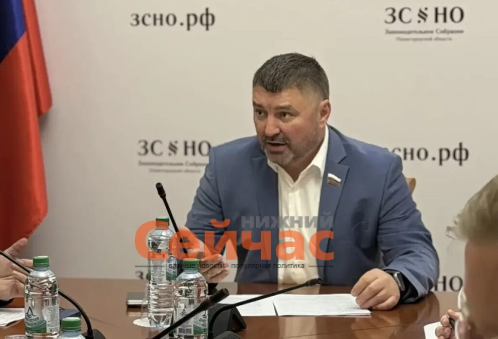    Фото: Заксобрание Нижегородской области Редакция nn-now