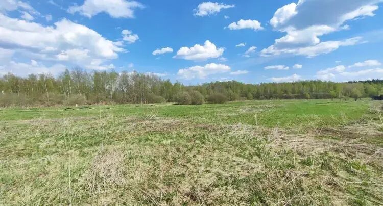    Единый портал торгов Московской области ЕАСУЗ