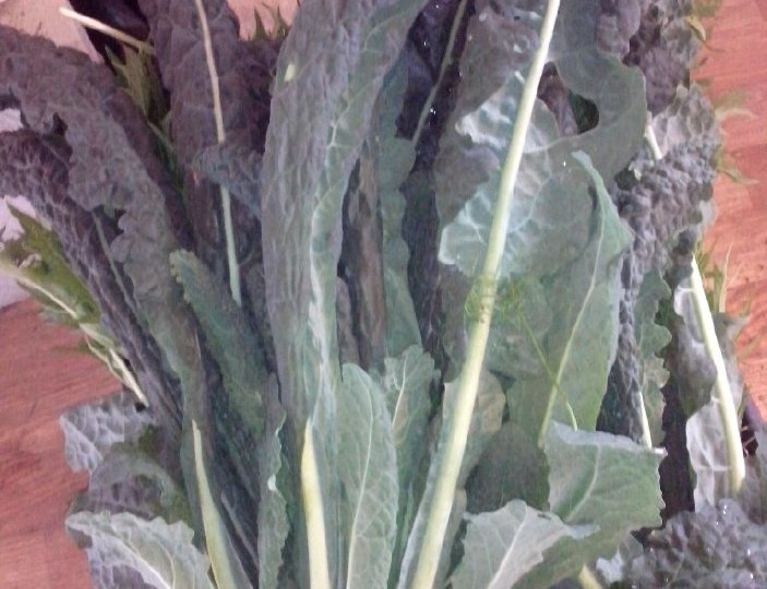 Капуста Кейл,🥬 или Кале, — это не просто капуста, а настоящий суперфуд, завораживающий своей красотой и пользой
