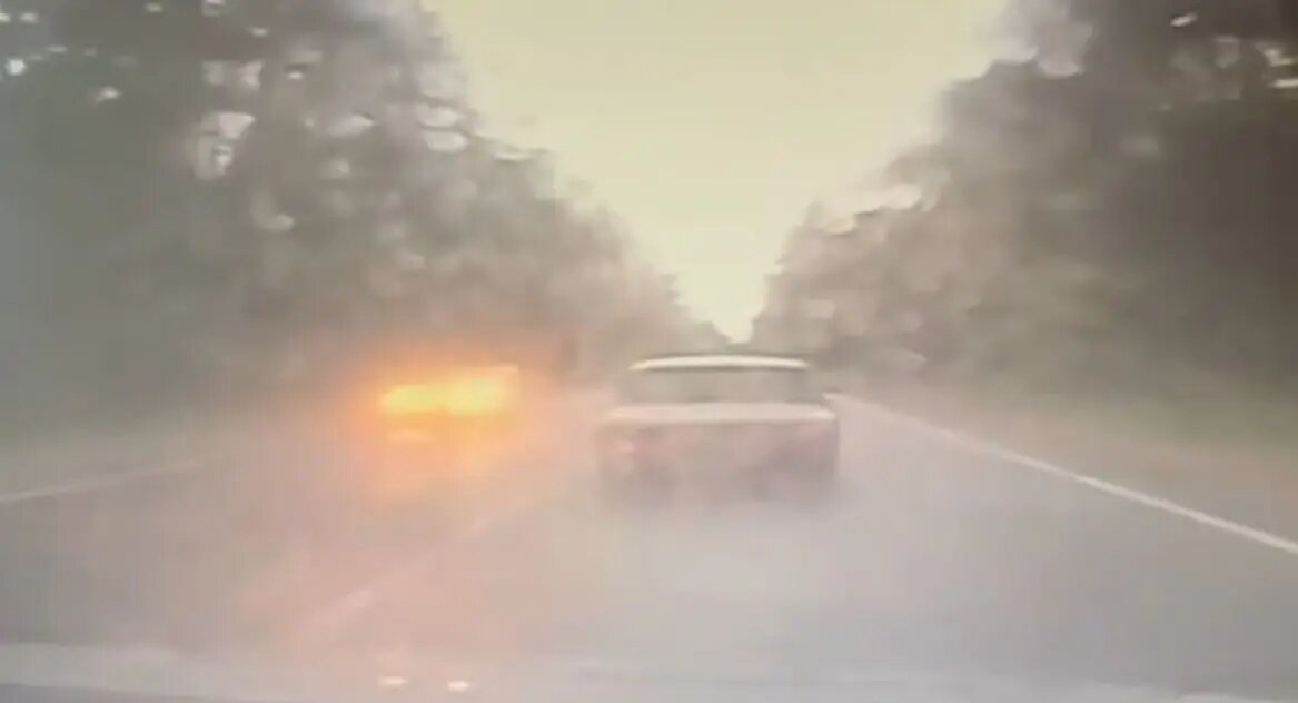    Фото: кадр видео ГУ МВД по Петербургу и Ленобласти