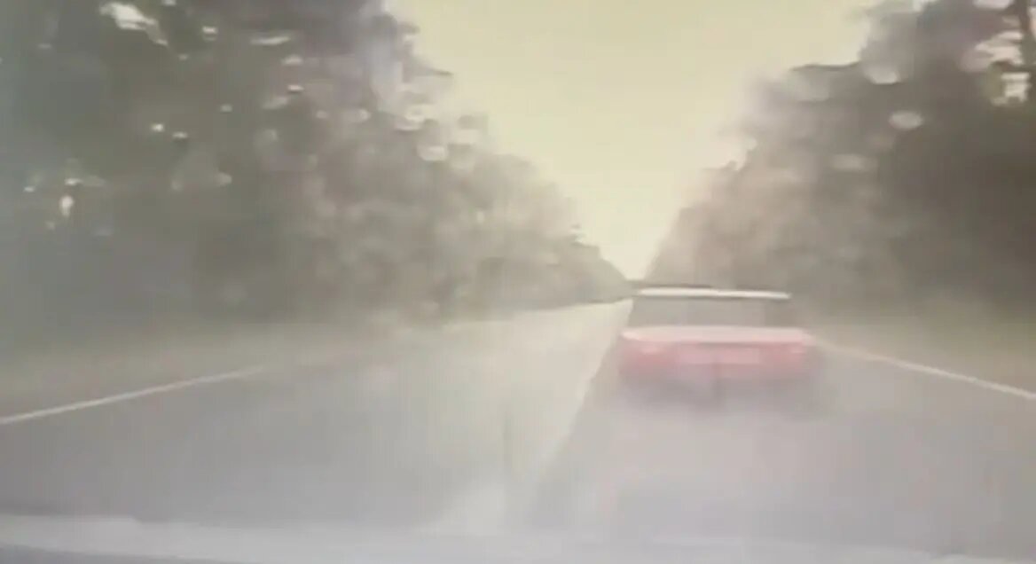    Фото: кадр видео ГУ МВД по Петербургу и Ленобласти