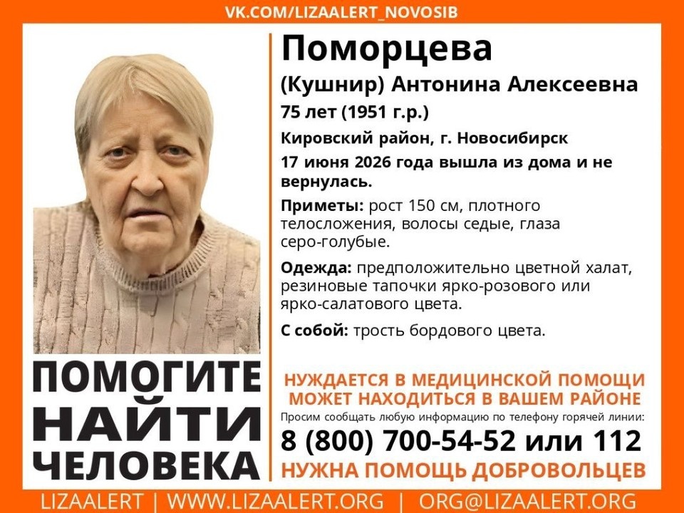    Пенсионерка ушла из дома 17 июня и не вернулась. Фото: пресс-служба «ЛизаАлерт» по Новосибирской области.