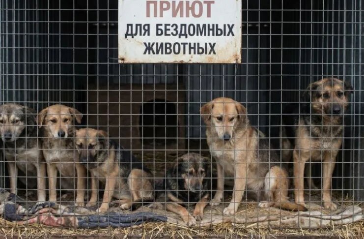    Фото: создано AI