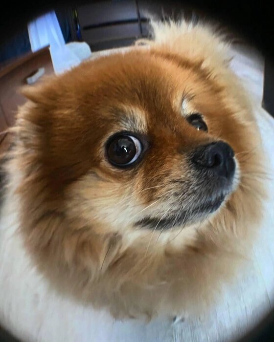 -А не к врачу ли вы меня привезли?