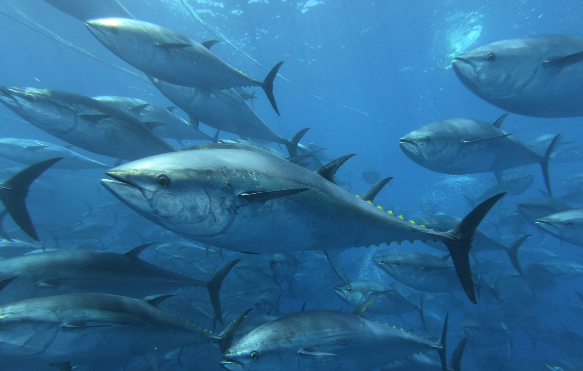 BlueRushDepth/Shutterstock/FOTODOM