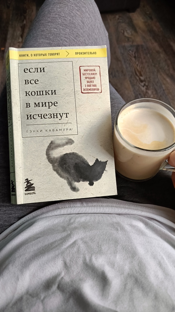 Первое знакомство с книгой