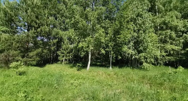    Единый портал торгов МО ЕАСУЗ / участок на торгах в Коломне