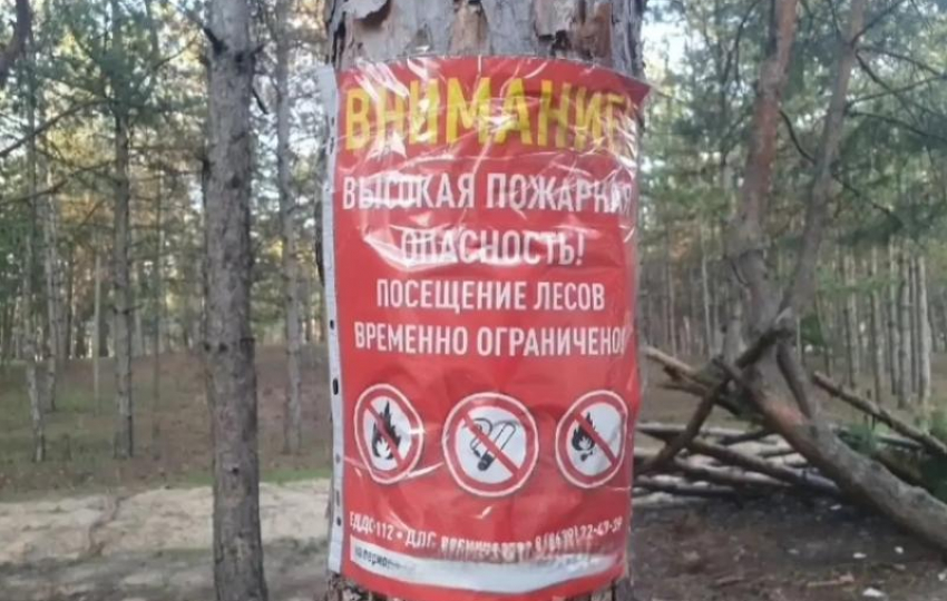 До 2 июля нельзя: волгодонцам запретили ходить в леса