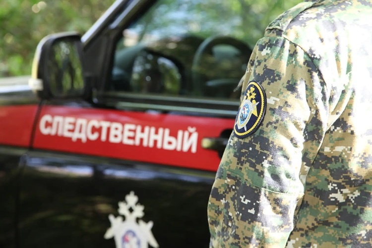    Фото канала СУ СК России по РО в МАХ Татьяна Пшеничная