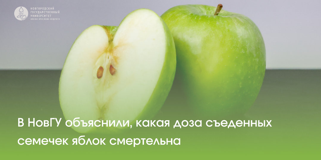 В НовГУ объяснили, какая доза съеденных семечек яблок смертельна