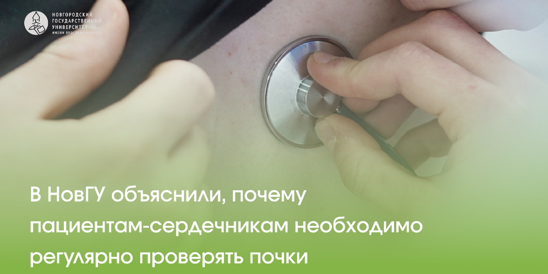 В НовГУ объяснили, почему пациентам-сердечникам необходимо регулярно проверять почки
