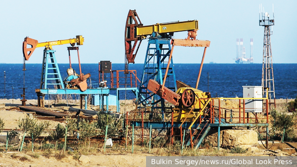     Фото: Bulkin Sergey/news.ru/Global Look Press   
 Текст: Ольга Самофалова