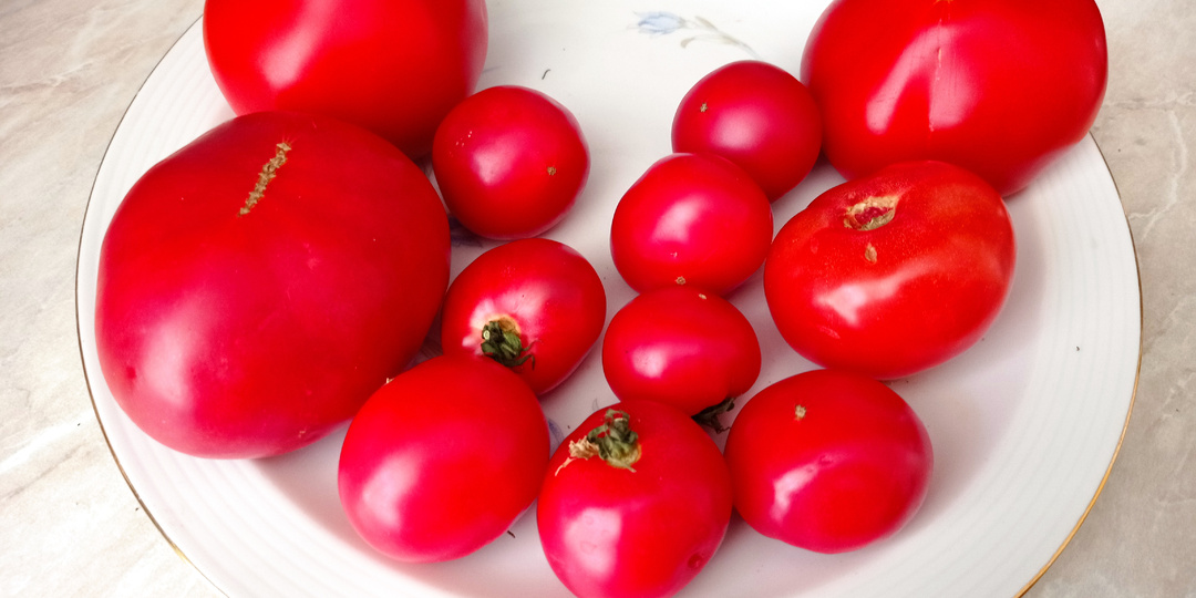 9 продуктов, которые портятся на холоде быстрее, чем на столе