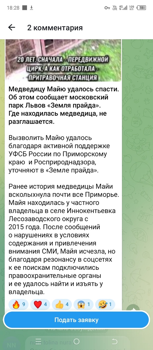 Скриншот с телеграм канала. 