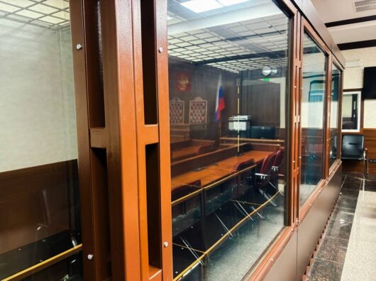Жительницу Мелитополя осудили на 14 лет за финансирование терроризма в Ростове