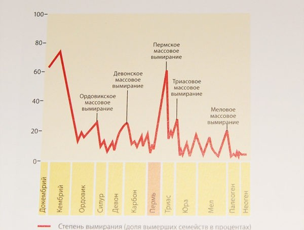 Даты, причины и последствия массовых вымираний на Земле