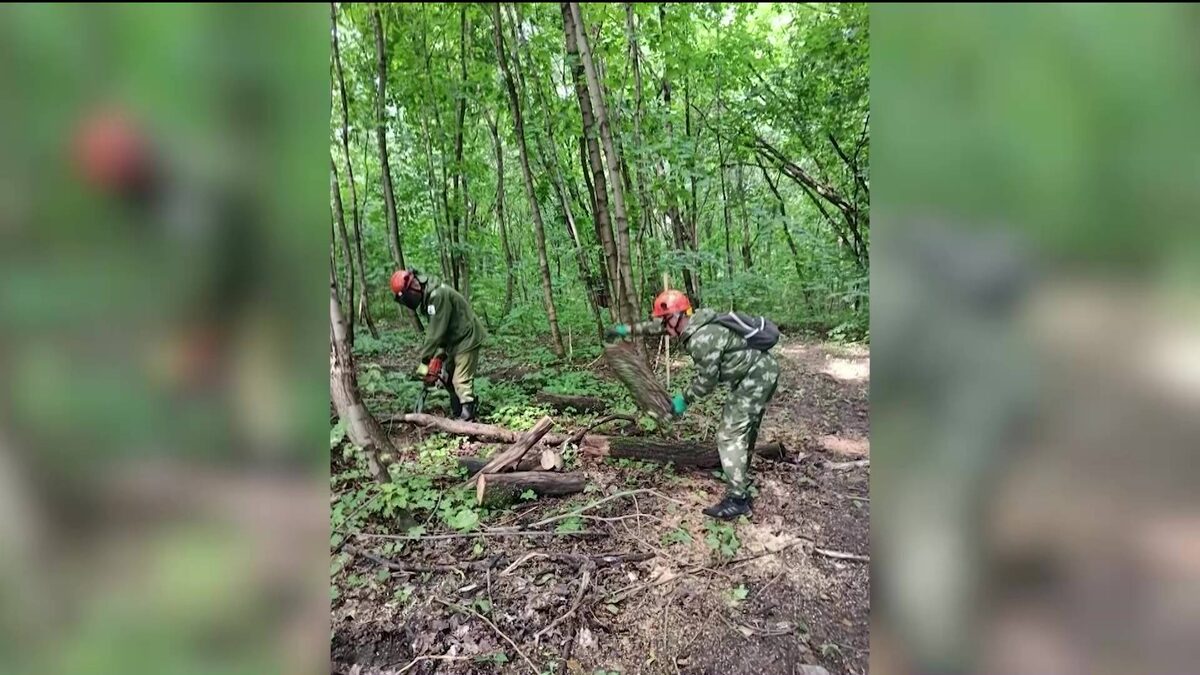    В Уфе в парке Лесоводов прошла генеральная уборка