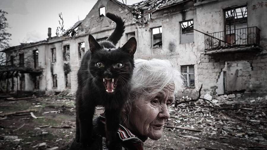    Фото: ИЗВЕСТИЯ/Павел Волков