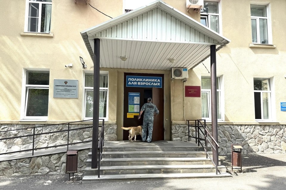    Медучреждение обследуют кинологи. Фото: соцсети главы г. Лермонтова