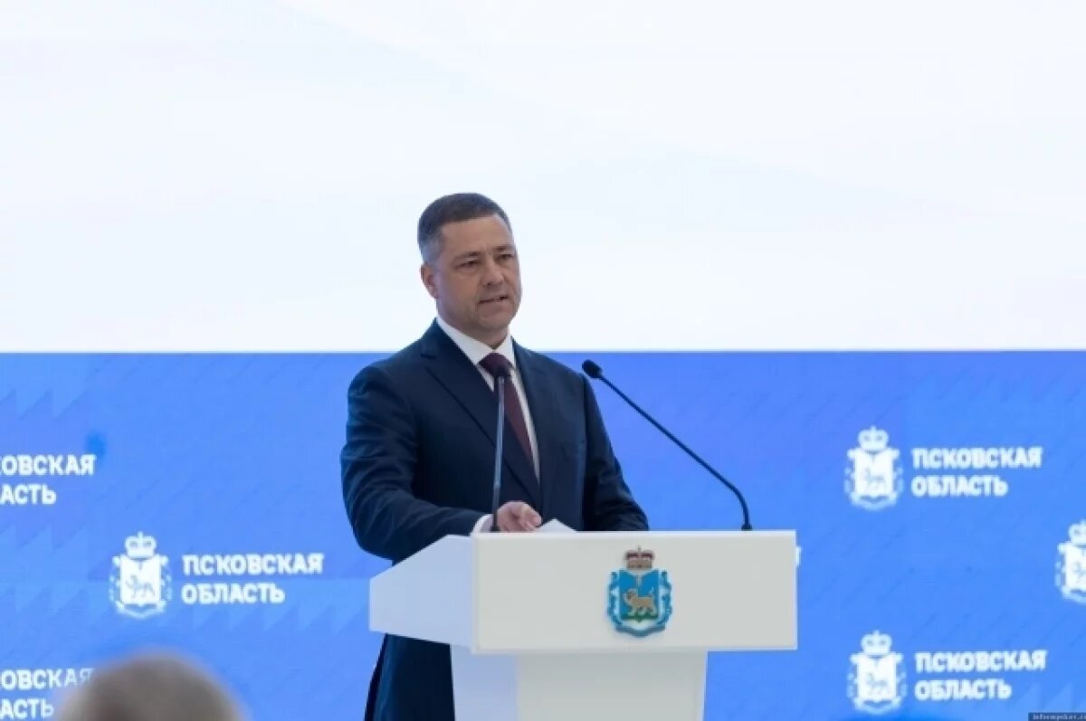    Более чем в 10 раз выросла грантовая поддержка проектов в Псковской области