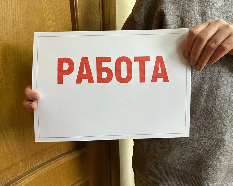     В Курской области 26 июня пройдет Всероссийская ярмарка трудоустройства