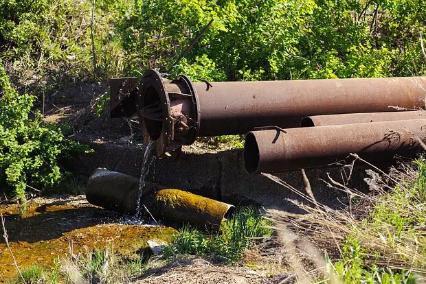    Источник: lenta.ru/ Анастасия Захарова