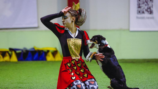 Фото: https://lenobl.ru/ru/dlya-smi/news/95403/