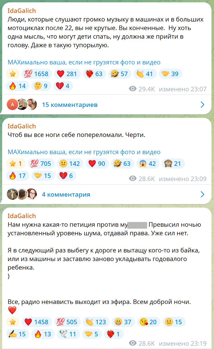    Ида Галич предложила лишать прав нарушителей тишины