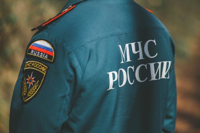 Обложка © Shutterstock / FOTODOM / Dizzy_Studio