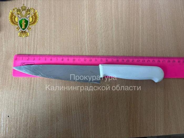 Обложка © Telegram/Прокуратура Калининградской области