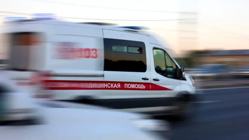    Источник: russian.rt.com Виктория Николаева