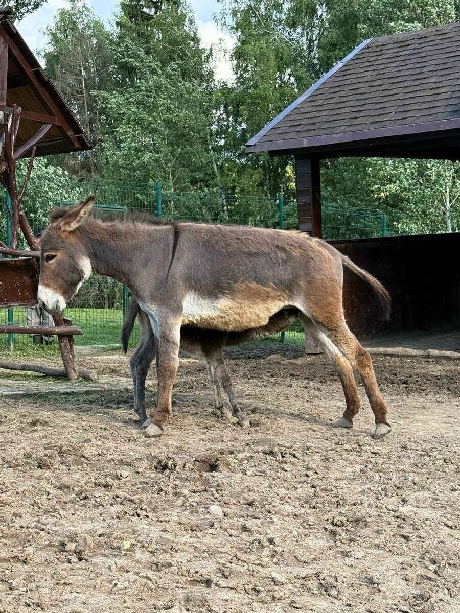 -2